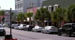 What’s that smell? Mystery causing Mount Dora stench may finally be solved