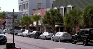 What’s that smell? Mystery causing Mount Dora stench may finally be solved