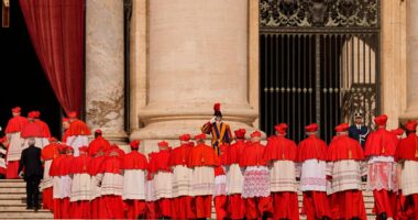 Who are the contenders to be pope? They include a street priest, a missionary and a Lutheran convert