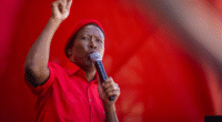Who is Julius Malema, the South African politician behind 'kill the farmer' chant?