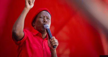 Who is Julius Malema, the South African politician behind 'kill the farmer' chant?