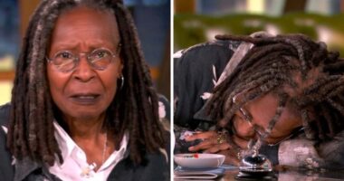 Whoopi Goldberg Pretends To Fall Asleep During ‘The View’ Segment About “Adulting 101” Classes For Gen Z