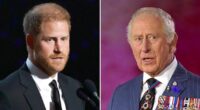 Why King Charles and Prince Harry's Feud Is 'Relatable' and 'A Tragedy'