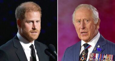 Why King Charles and Prince Harry's Feud Is 'Relatable' and 'A Tragedy'
