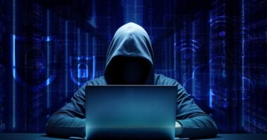 Why Working From Home leaves us all desperately vulnerable to malign hackers, writes Professor ANTHONY GLEES