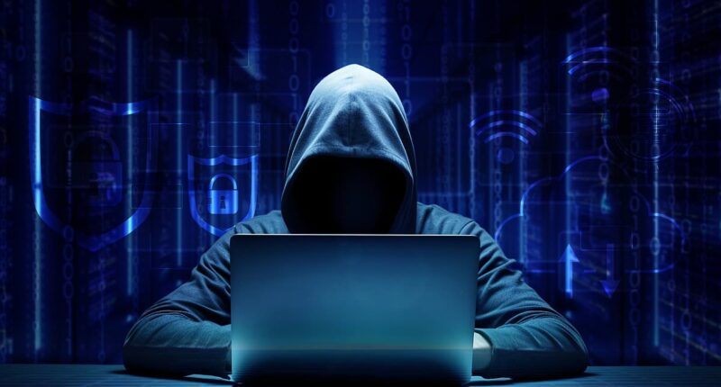 Why Working From Home leaves us all desperately vulnerable to malign hackers, writes Professor ANTHONY GLEES