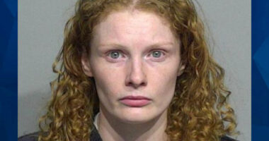 Wisconsin Mom Charged in Connection With Drowning Death of Tot Son