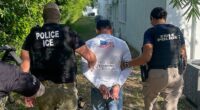 Woke Gavin Newsom TURNS on illegal migrants as bizarre Democrat policy threatens to bankrupt deep blue state