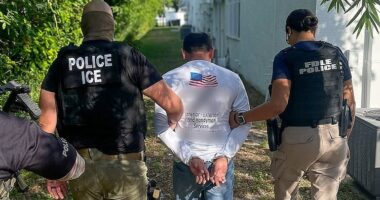 Woke Gavin Newsom TURNS on illegal migrants as bizarre Democrat policy threatens to bankrupt deep blue state