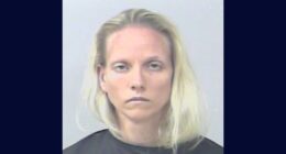 Woman allegedly shoved 'cheesy nachos' down wife's pants