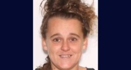 Woman dumps girl in nature preserve after stabbing her: Cops