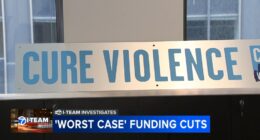 'Worst case scenario' funding cuts proposed for domestic violence, gun violence reduction programs in Chicago, nationwide