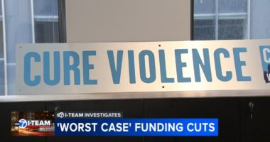 'Worst case scenario' funding cuts proposed for domestic violence, gun violence reduction programs in Chicago, nationwide