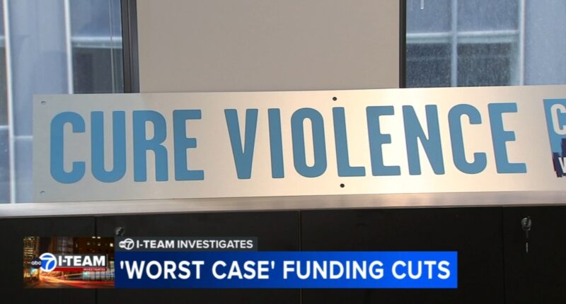 'Worst case scenario' funding cuts proposed for domestic violence, gun violence reduction programs in Chicago, nationwide