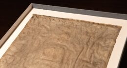 You think Antiques Roadshow guests get a shock? Harvard University discovers the Magna Carta 'copy' they bought at auction for £20 is an ORIGINAL - and worth £16MILLION