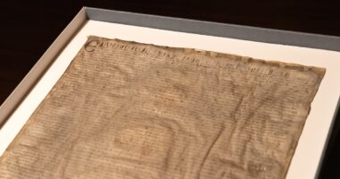 You think Antiques Roadshow guests get a shock? Harvard University discovers the Magna Carta 'copy' they bought at auction for £20 is an ORIGINAL - and worth £16MILLION