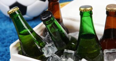 You've been chilling your beer wrong! Experts reveal the fastest way to cool your booze - and it doesn't involve the freezer
