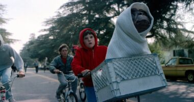 ‘E.T. the Extra-Terrestrial’ Star Dee Wallace Says She ‘Argued’ With Steven Spielberg Over an Axed ‘Love Affair’ Between E.T. and Elliot’s Mother: ‘This Was a Family Film’