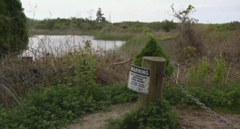 ‘Human remains’ found near Taylor Swift’s beachside mansion reigniting ‘serial killer’ fears after 12 bodies discovered