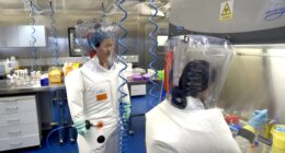 ‘Rattled’ China knows world is on brink of truth about Covid lab leak – they are desperate to shift blame, say experts