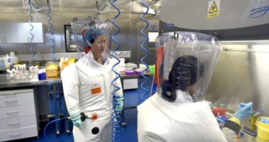 ‘Rattled’ China knows world is on brink of truth about Covid lab leak – they are desperate to shift blame, say experts