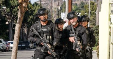 ‘S.W.A.T.’ Series Finale Explained After Cancellations: Who Left? Who Died?