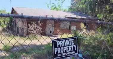 ‘Tear it down:’ Cocoa veteran calls out owners, county for blighted homes next door 