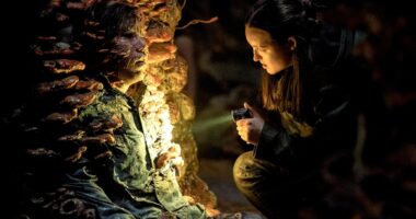 ‘The Last of Us’ Season 2 Episode 5 Ending Explained: What are the Spores? Does Ellie Kill [SPOILER]?