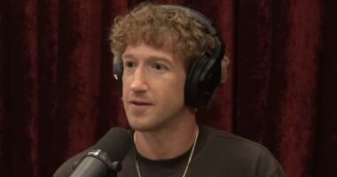 'MAGA Mark' Zuckerberg leaves Meta staff horrified after Joe Rogan chat