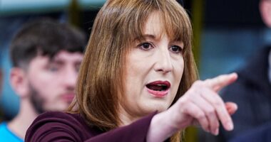 'Rachel Reeves looks exhausted. She can't deliver': Labour ministers drip poison to DAN HODGES on why the Chancellor is doomed... and tell the woeful reason she thinks it's all gone wrong