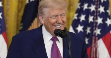 'Sleazebags': President Trump Hilariously Torches Fake News for Their Reports About Iran Bombings