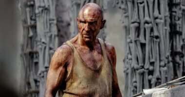 'Terrifying' 28 Years Later receives positive reviews from critics with Ralph Fiennes' performance dubbed 'scene-stealing'