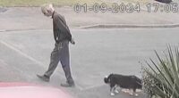 'They can rebuild their lives. We can't': Family's fury as schoolboy, 15, who beat 80-year-old dog walker to death is jailed for just seven years and girl who filmed attack is spared detention