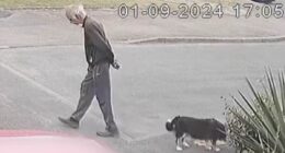 'They can rebuild their lives. We can't': Family's fury as schoolboy, 15, who beat 80-year-old dog walker to death is jailed for just seven years and girl who filmed attack is spared detention