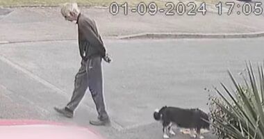 'They can rebuild their lives. We can't': Family's fury as schoolboy, 15, who beat 80-year-old dog walker to death is jailed for just seven years and girl who filmed attack is spared detention