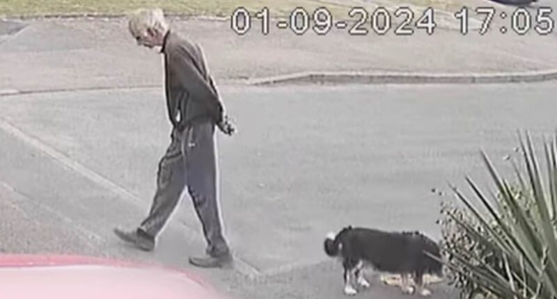 'They can rebuild their lives. We can't': Family's fury as schoolboy, 15, who beat 80-year-old dog walker to death is jailed for just seven years and girl who filmed attack is spared detention
