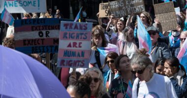 Leftie teachers, cops and doctors trying to swerve court trans ruling named & shamed in damning report