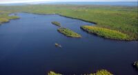 2 camping in Michigan on remote wilderness island are found dead