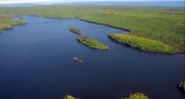 2 camping in Michigan on remote wilderness island are found dead
