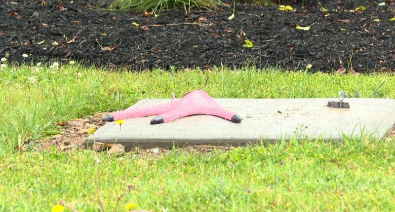 2 men plead guilty to stealing pink flamingo statue in Parma: Here's what the judge said