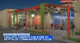 4 projects, including Cottage Grove Collective's, vying for 'Chicago Prize' from Pritzker Traubert Foundation: $10M over 5 years
