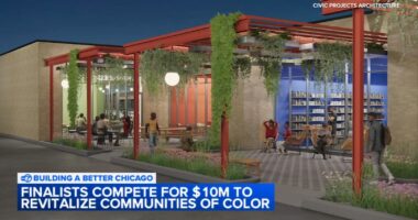 4 projects, including Cottage Grove Collective's, vying for 'Chicago Prize' from Pritzker Traubert Foundation: $10M over 5 years