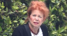 90s actress who starred in two classic comedies steps out in LA on rare outing... can you guess who it is?