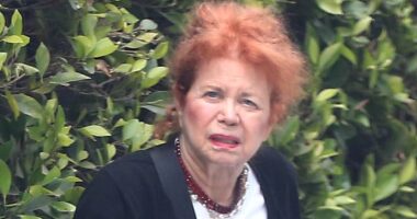 90s actress who starred in two classic comedies steps out in LA on rare outing... can you guess who it is?