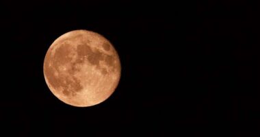 A full ‘strawberry moon’ is filling the night sky. Be sure to share your photos