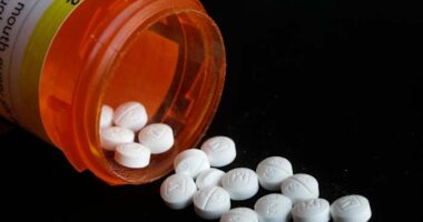 A judge could advance Purdue Pharma's $7B opioid settlement after all 50 states back it
