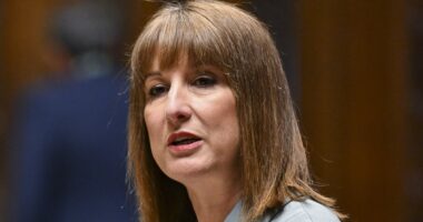 A reckless splurge we (and our children) will be paying off for years: Voters brace for tax hikes as Rachel Reeves embarks on unprecedented spending spree