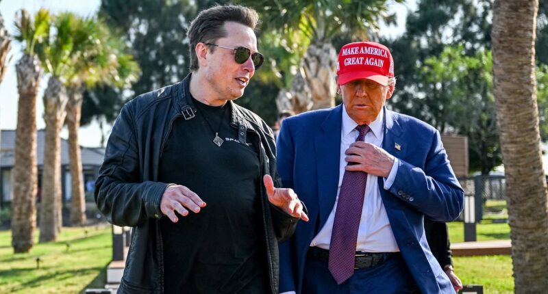 A top MAGA defector has told me the REAL revenge Elon's plotting... it could destroy Trump's legacy: KENNEDY