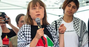 Activist Greta Thunberg deported by Israel after trying to reach Gaza with aid by ship