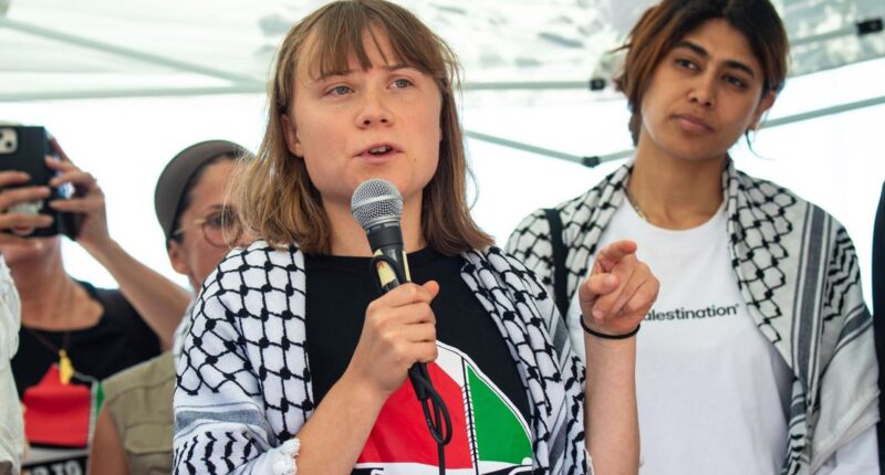Activist Greta Thunberg deported by Israel after trying to reach Gaza with aid by ship